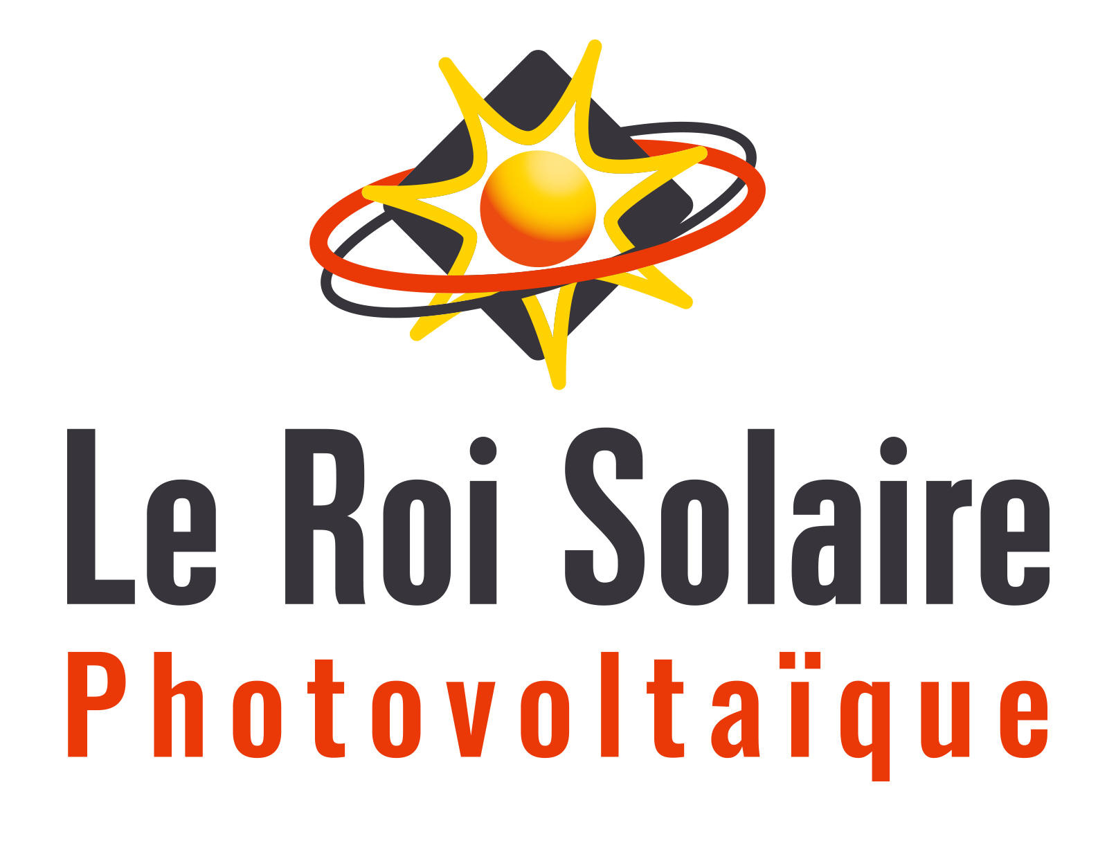 Logo PV vertical noir